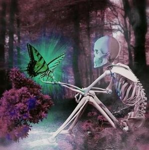 Meet your Posher, Aida